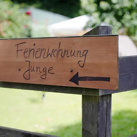 Junge 2 Lohe-Rickelshof