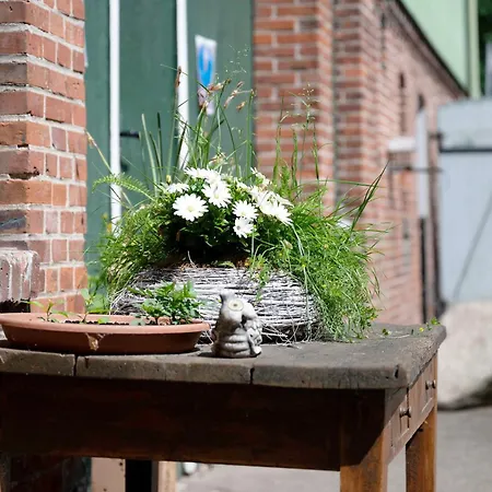 Junge 2 Appartement Lohe-Rickelshof